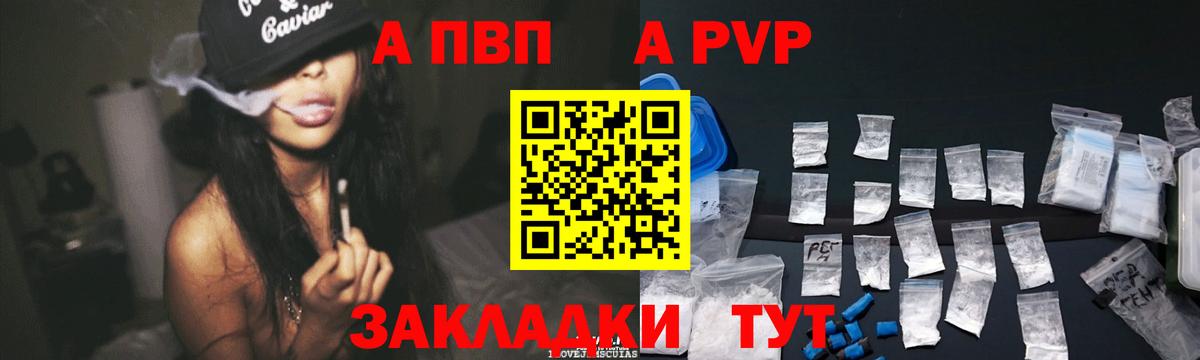 A PVP СК КРИС Саратов