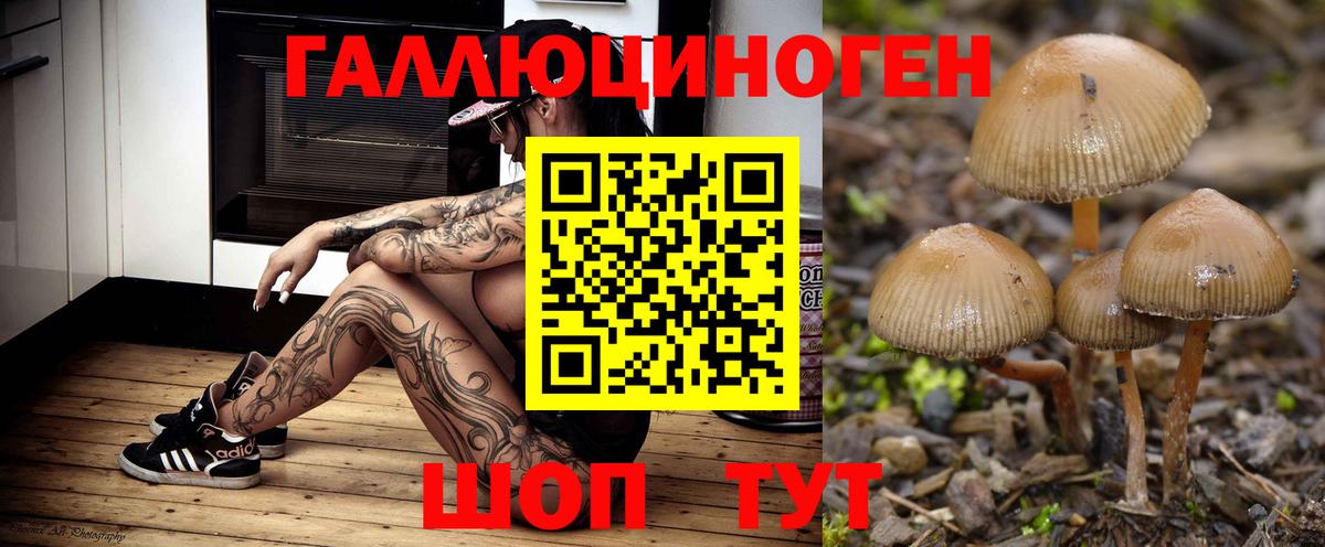 Псилоцибиновые грибы ЛСД Саратов